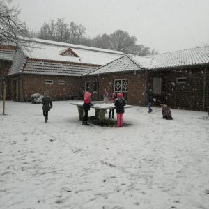 Foto 2 Schnee