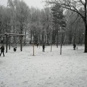 Foto 3 Schnee