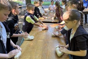 Vom Korn zzm Brot Bild 3