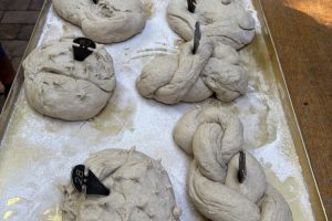 Vom Korn zzm Brot Bild 4