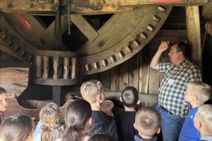 Vom Korn zzm Brot Bild 6