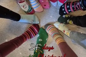 Mottotag Bild 1 Mottotag Bild 1